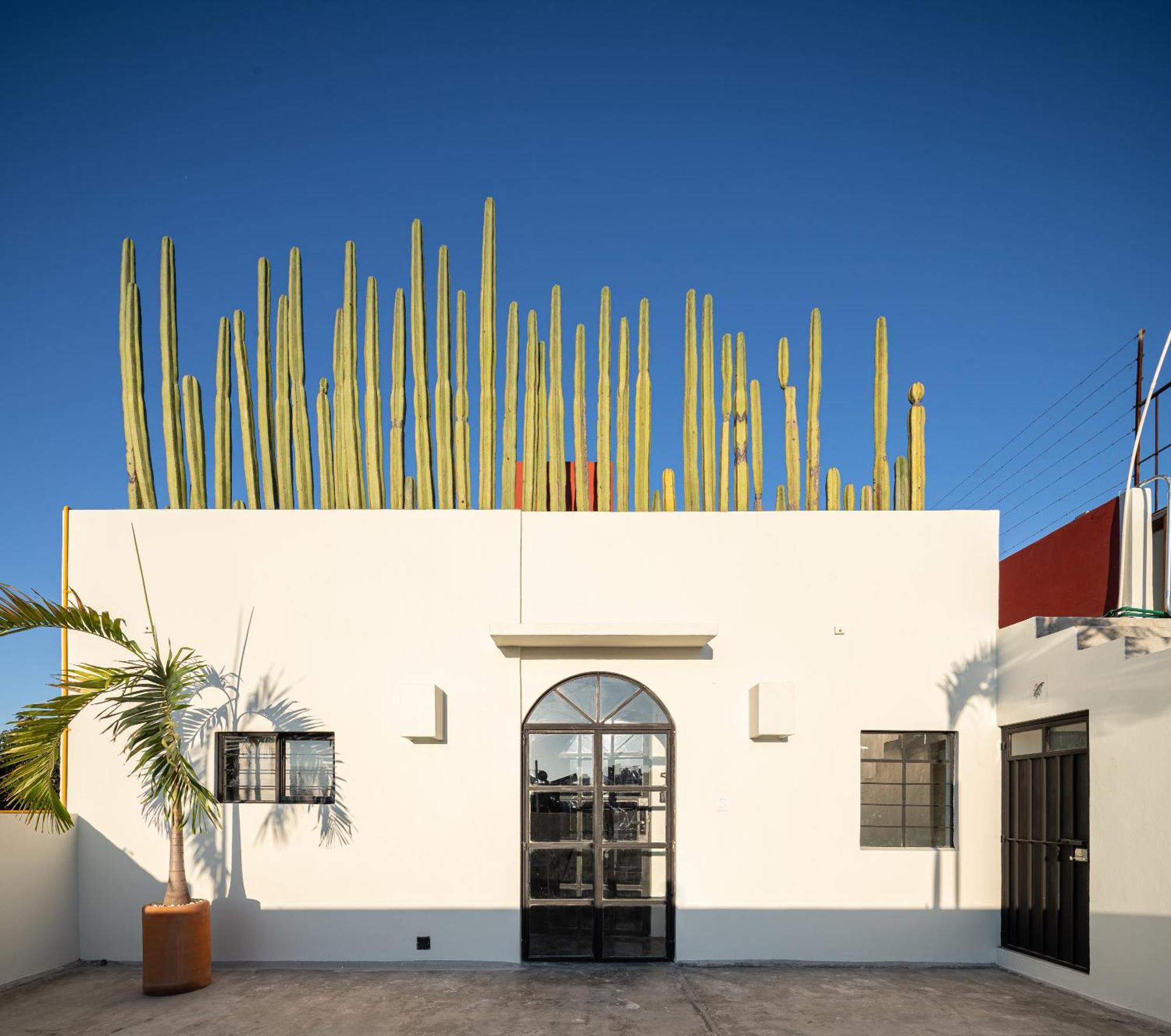 Casa Lumos - Minimalist Comfort Suites In Centro Historico Oaxaca 外观 照片
