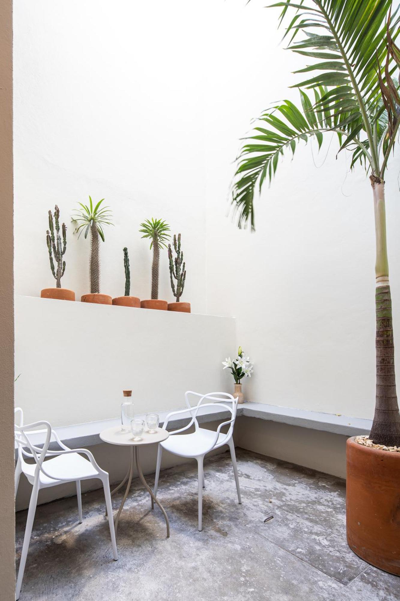 Casa Lumos - Minimalist Comfort Suites In Centro Historico Oaxaca 外观 照片