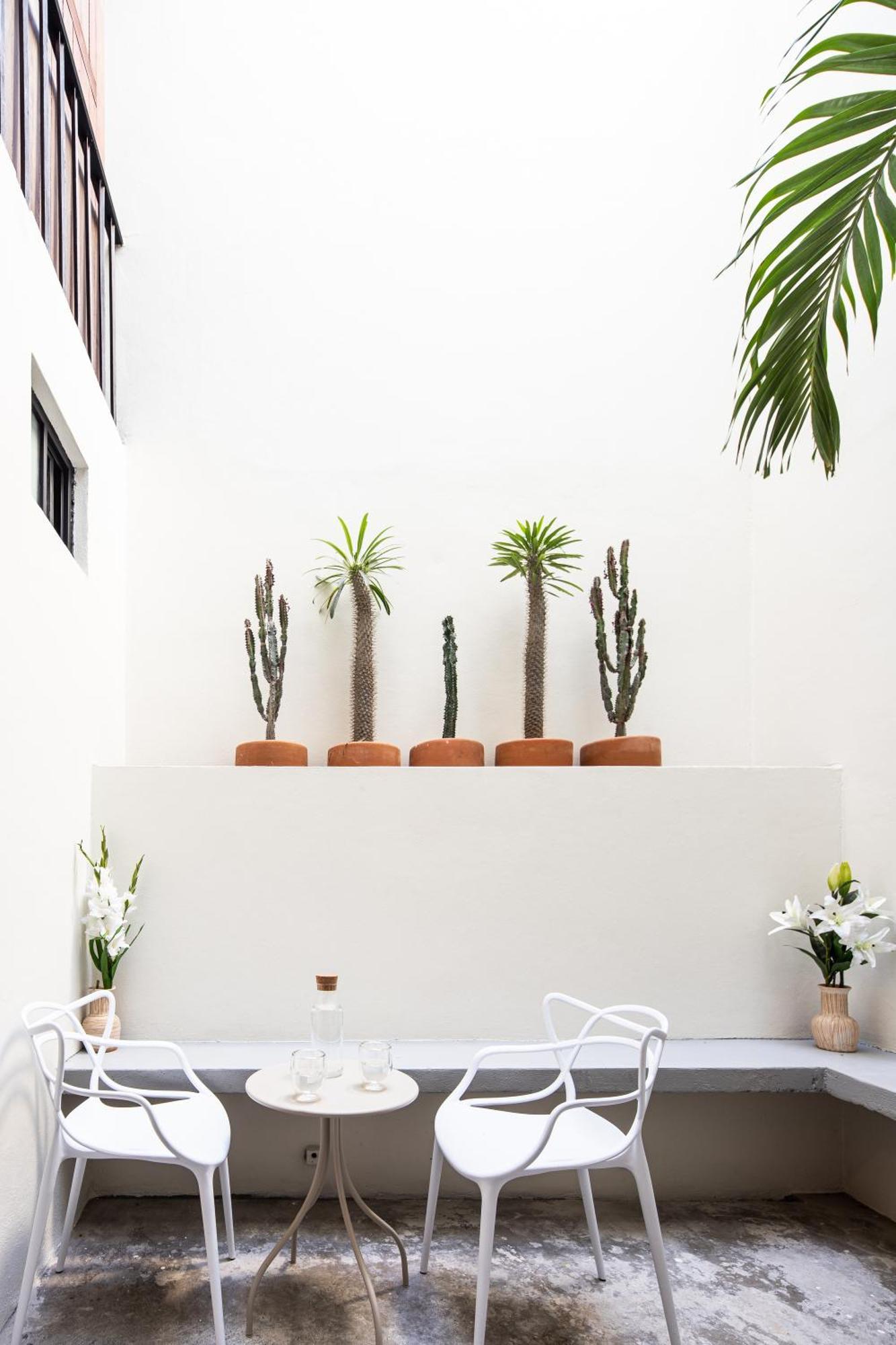 Casa Lumos - Minimalist Comfort Suites In Centro Historico Oaxaca 外观 照片